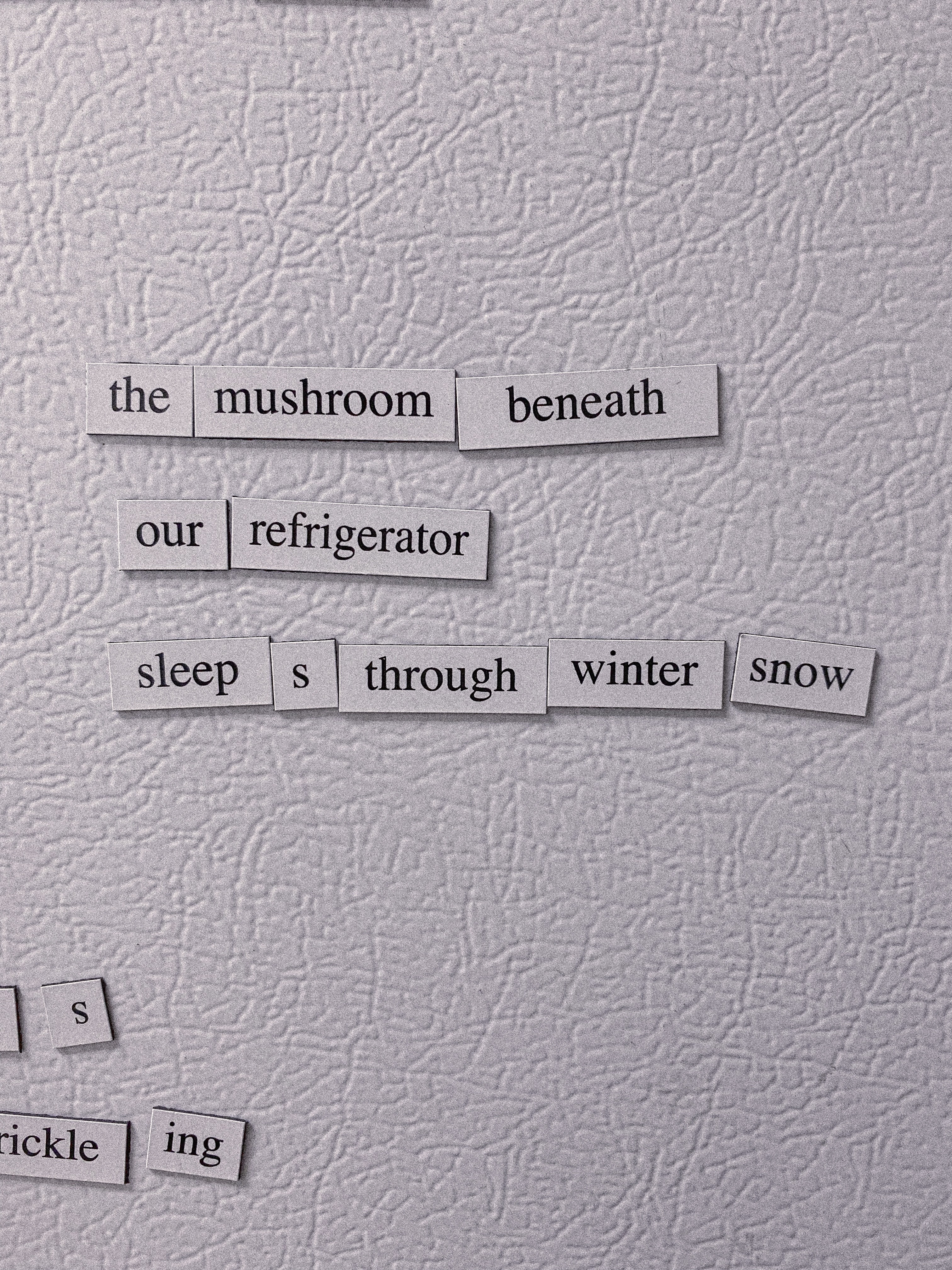 fridge haiku